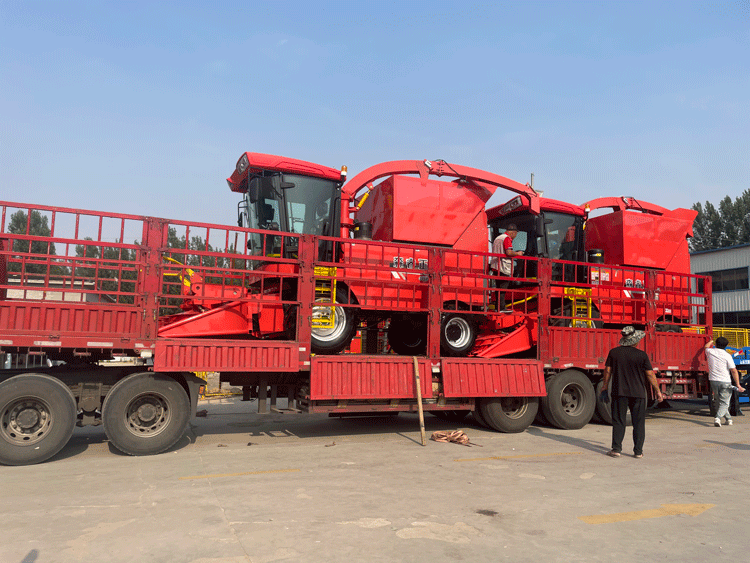 La machine à ensilage Senrui livre efficacement pour aider à une bonne récolte ! La machine à ensilage Senrui livre efficacement pour aider à une bonne récolte !