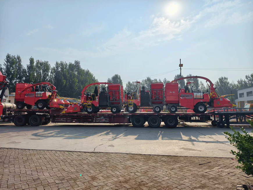 Prêt pour la livraison : la moissonneuse-hacheuse Senrui 4QZ-2000C est expédiée entièrement assemblée, améliorant l'efficacité des élevages !