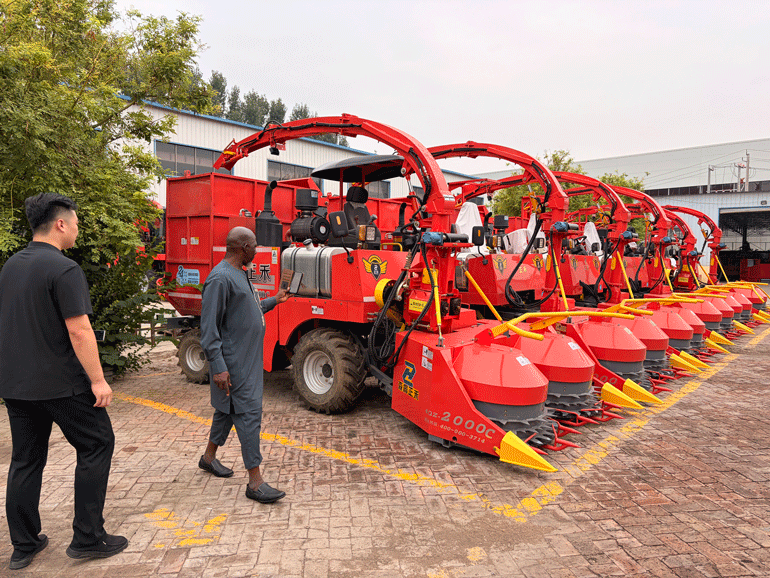 Des clients étrangers visitent Senrui Agricultural And Livestock Equipment pour explorer de nouvelles opportunités de coopération internationale dans le domaine des machines agricoles.