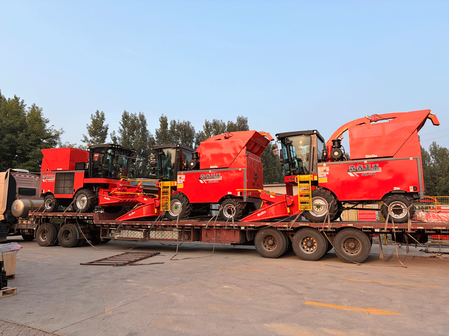 Performance éprouvée ! Les ensileuses Senrui chargées pour expédition par lot, boostant une production agricole et d'élevage efficace