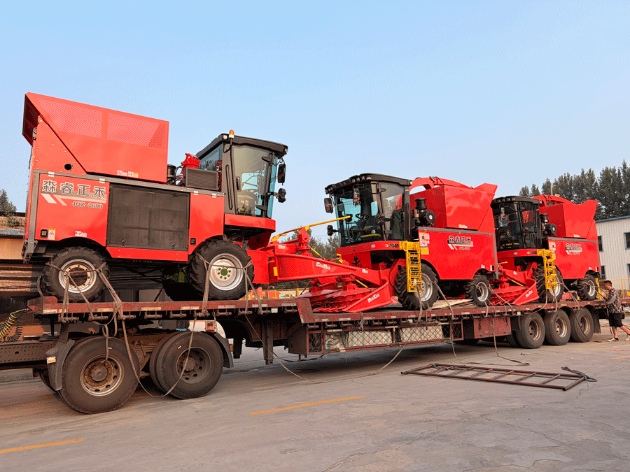 Performance éprouvée ! Les ensileuses Senrui chargées pour expédition par lot, boostant une production agricole et d'élevage efficace